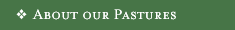 About Our Pastures