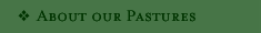 About Our Pastures