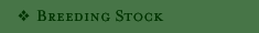 Breeding Stock